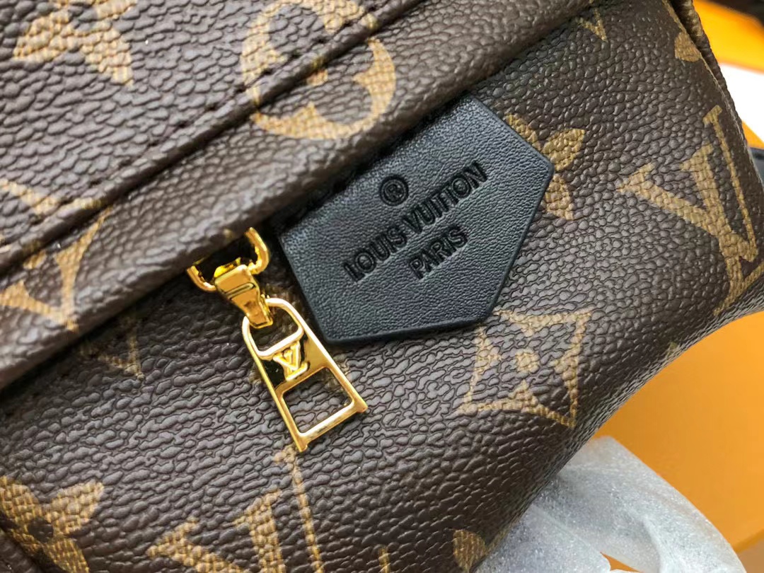 Louis Vuitton Palm Springs Mini Monogram Canvas For Women, Women’s Handbags, Women’s Backpack 6.7in/17cm