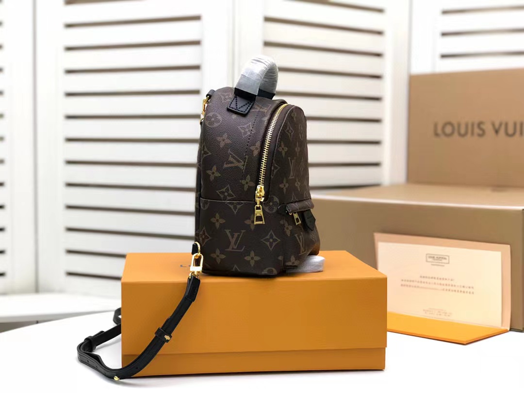 Louis Vuitton Palm Springs Mini Monogram Canvas For Women, Women’s Handbags, Women’s Backpack 6.7in/17cm