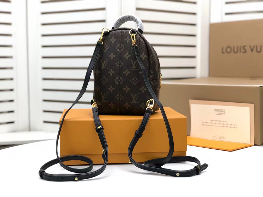 Louis Vuitton Palm Springs Mini Monogram Canvas For Women, Women’s Handbags, Women’s Backpack 6.7in/17cm