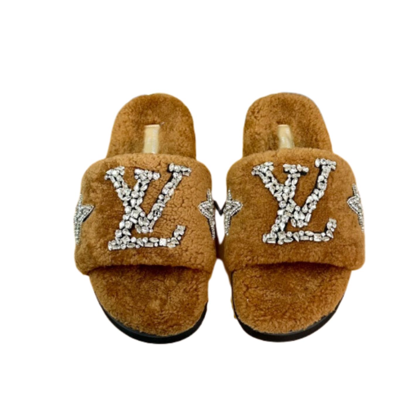 Louis Vuitton Paseo Flat Comfort Mule Brown For Women