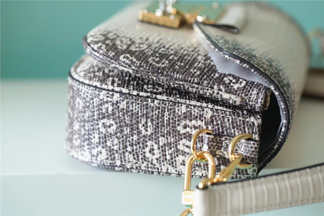 Louis Vuitton Swing Monogram Silver For Women, Women’s Handbags, Shoulder And Crossbody Bags 24cm/9.4in LV 