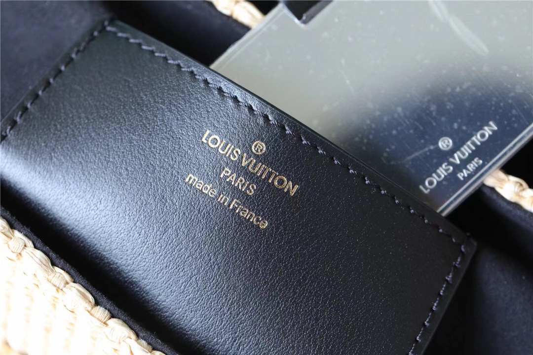 Louis Vuitton Twist MM Raffia Black For Women, Women’s Handbags, Shoulder And Crossbody Bags 9.1in/23cm LV 