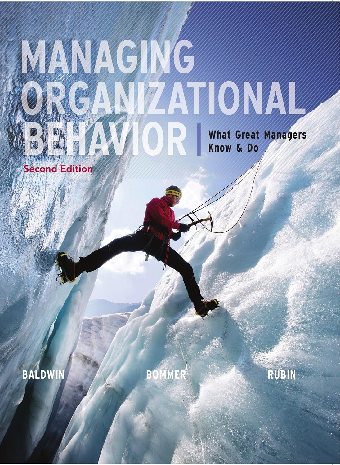 Managing Organizational Behavior: What Great Managers Know and Do, 2nd edition (PDF/EPUB Version)