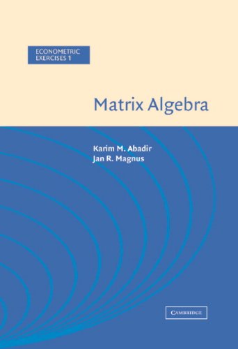 Matrix Algebra (Econometric Exercises Book 1) (PDF/EPUB Version)