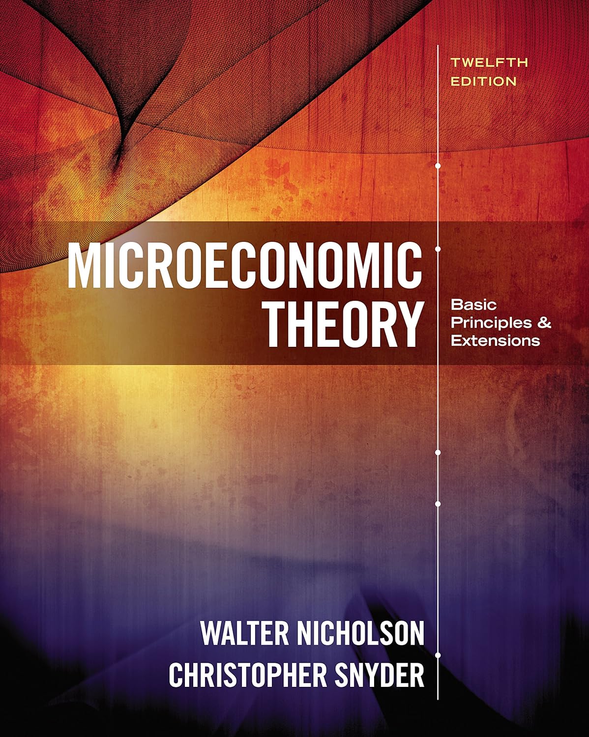 Microeconomic Theory: Basic Principles and Extensions (PDF/EPUB Version)