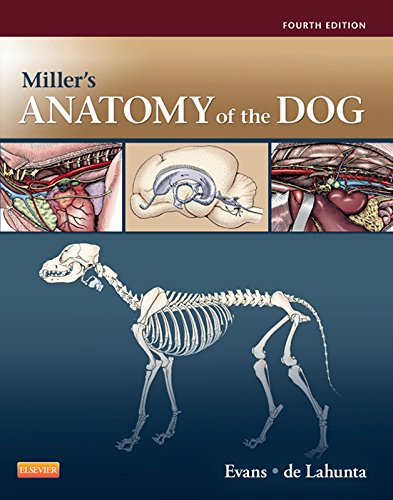 Miller's Anatomy of the Dog - E-Book (PDF/EPUB Version)