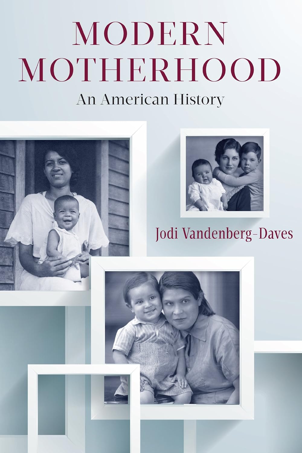 Modern Motherhood: An American History (PDF/EPUB Version)