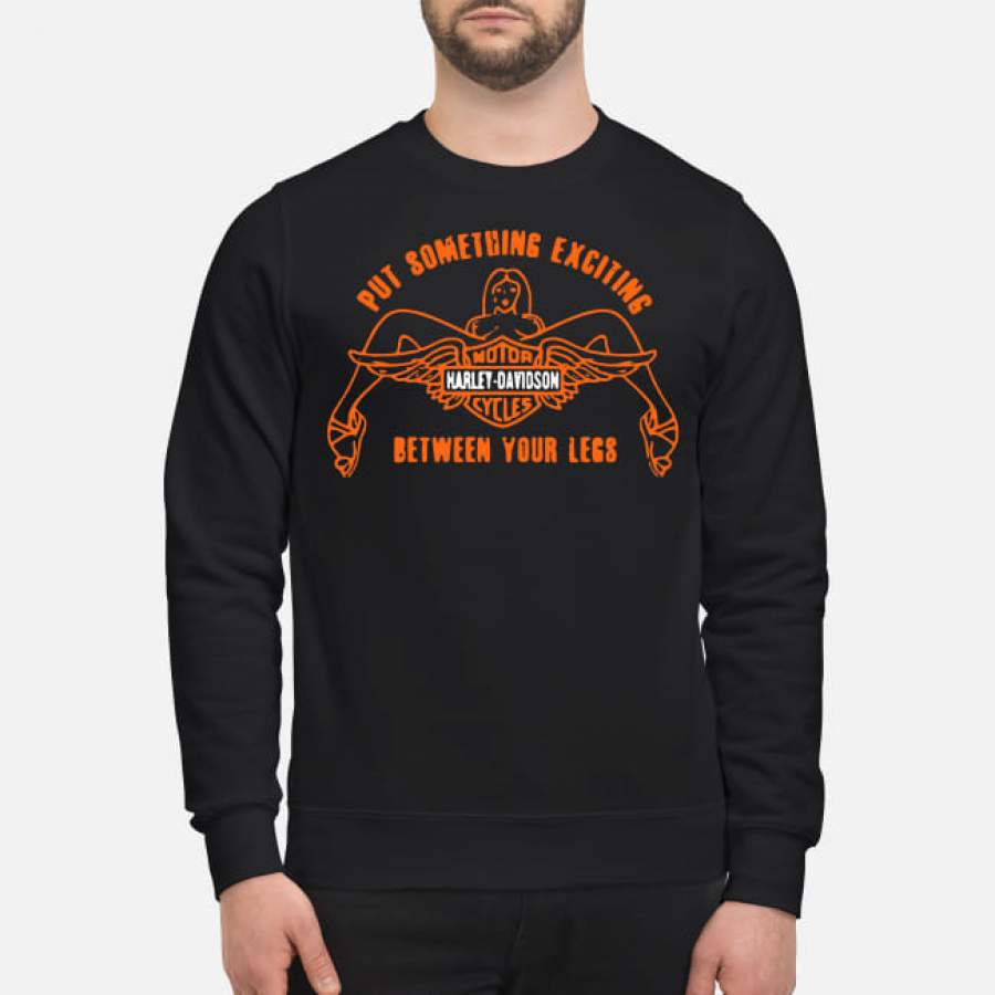 Motor Harley Davidson put something exciting between your legs Sweatshirt