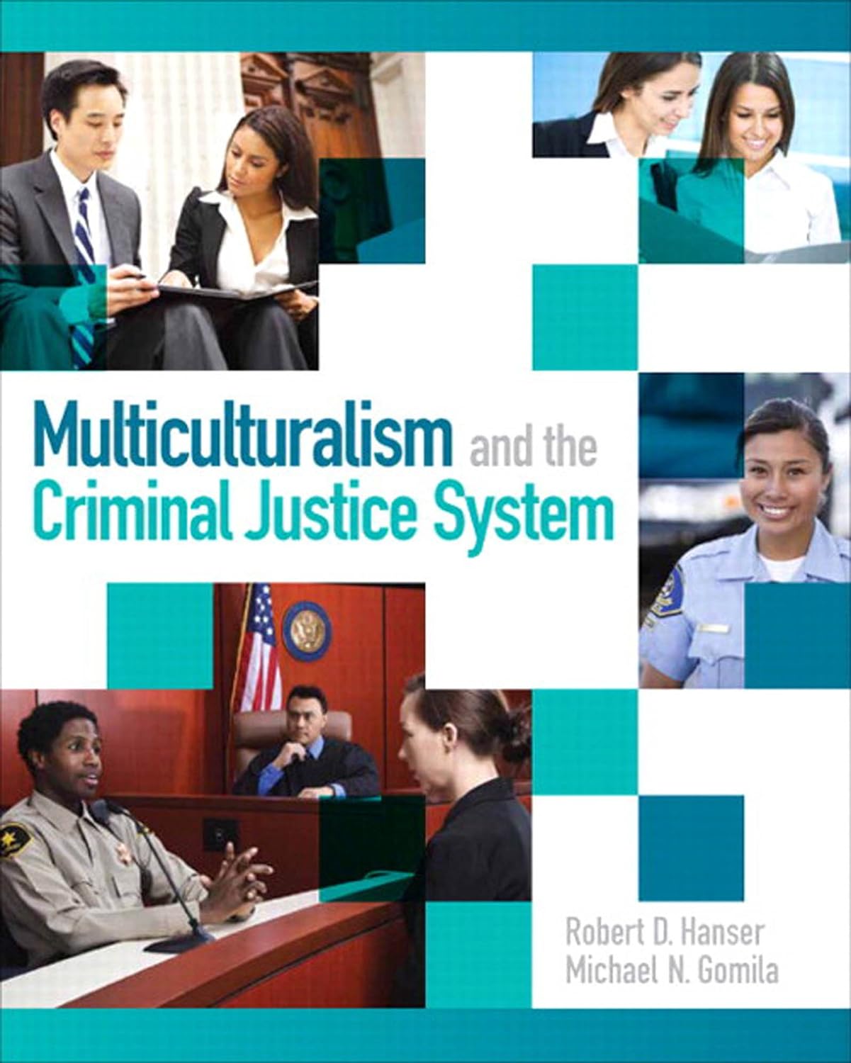 Multiculturalism and the Criminal Justice System (PDF/EPUB Version)