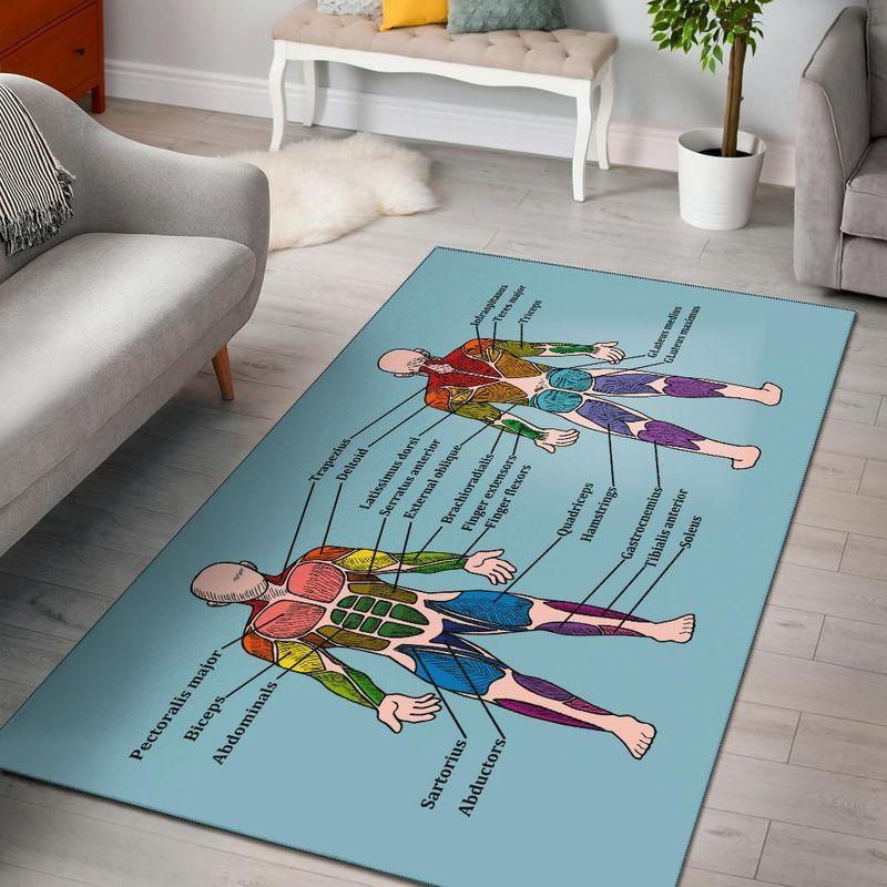 Muscle Chart Area Rectangle Rug