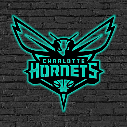 NBA Charlotte Hornets Logo RGB Led Lights Metal Wall Art