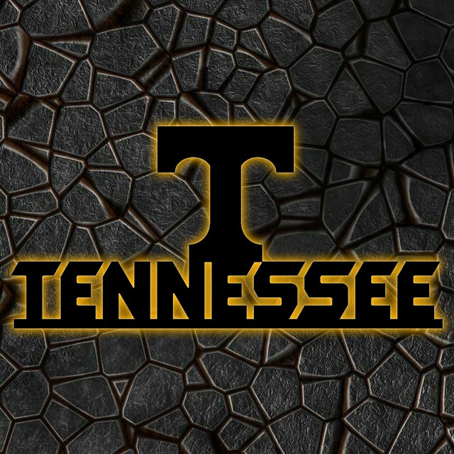 NCAA Baseball Tennessee Volunteers Logo RGB Led Lights Metal Wall Art