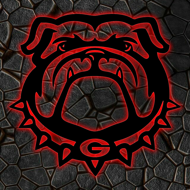 NCAA Football Georgia Bulldogs Logo RGB Led Lights Metal Wall Art