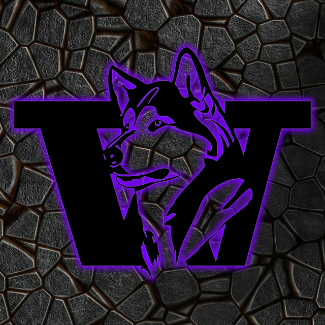 NCAA Football Washington Huskies Logo RGB Led Lights Metal Wall Art