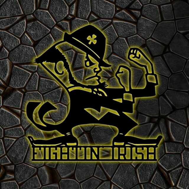 NCAA Hockey Notre Dame Fighting Irish Logo RGB Led Lights Metal Wall Art