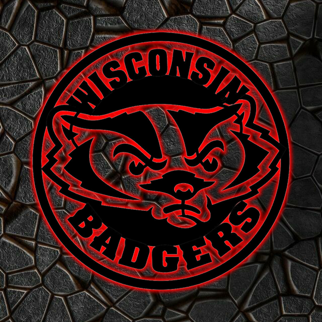 NCAA Hockey Wisconsin Badgers Logo RGB Led Lights Metal Wall Art