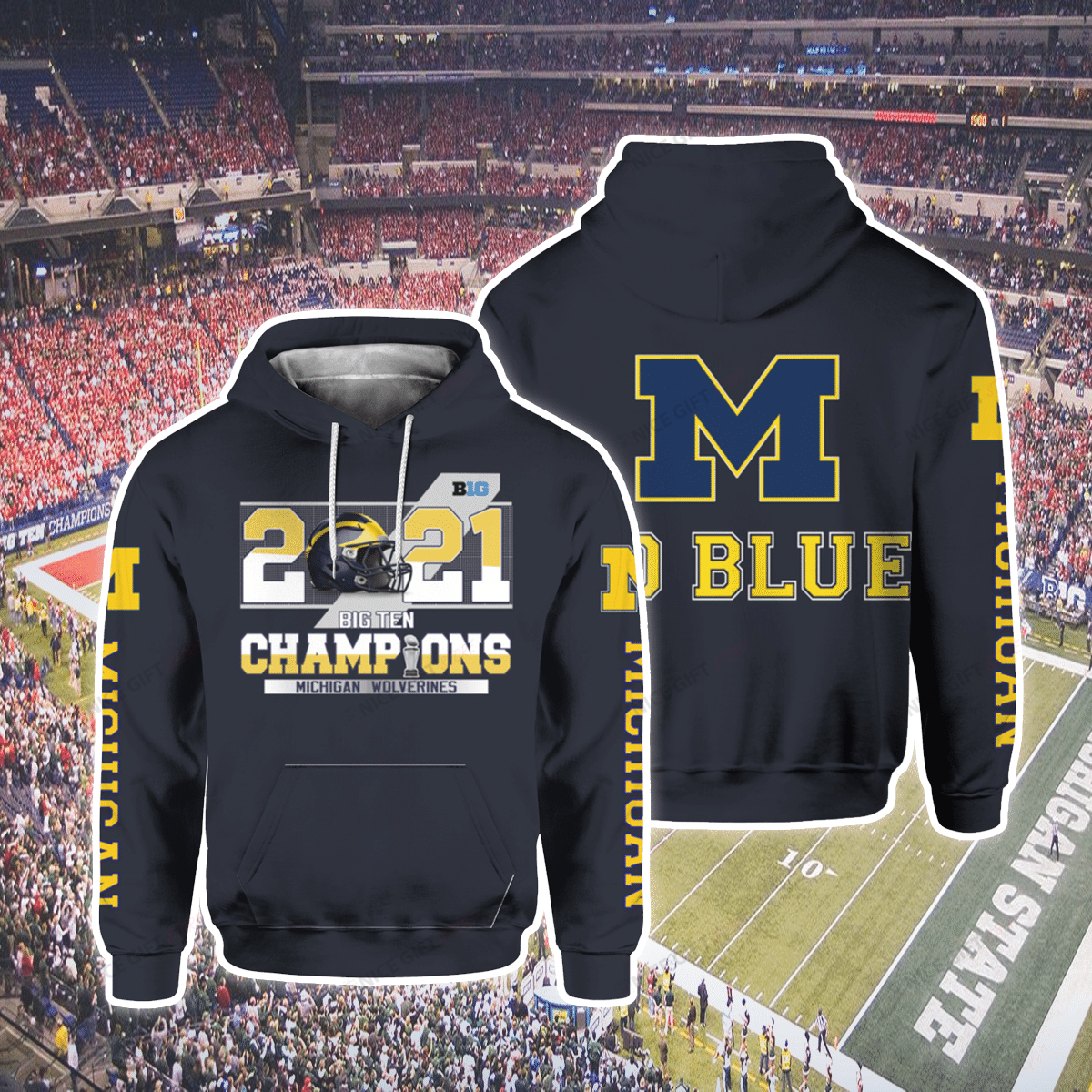 NCAAF Michigan Wolverines 2021 Big Ten Champions Go Blue 3D Hoodie Gift For Fans