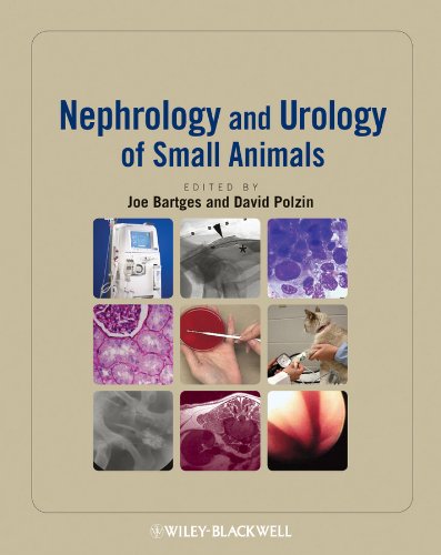 Nephrology and Urology of Small Animals (PDF/EPUB Version)