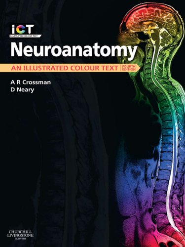 Neuroanatomy E-Book: An Illustrated Colour Text (PDF/EPUB Version)