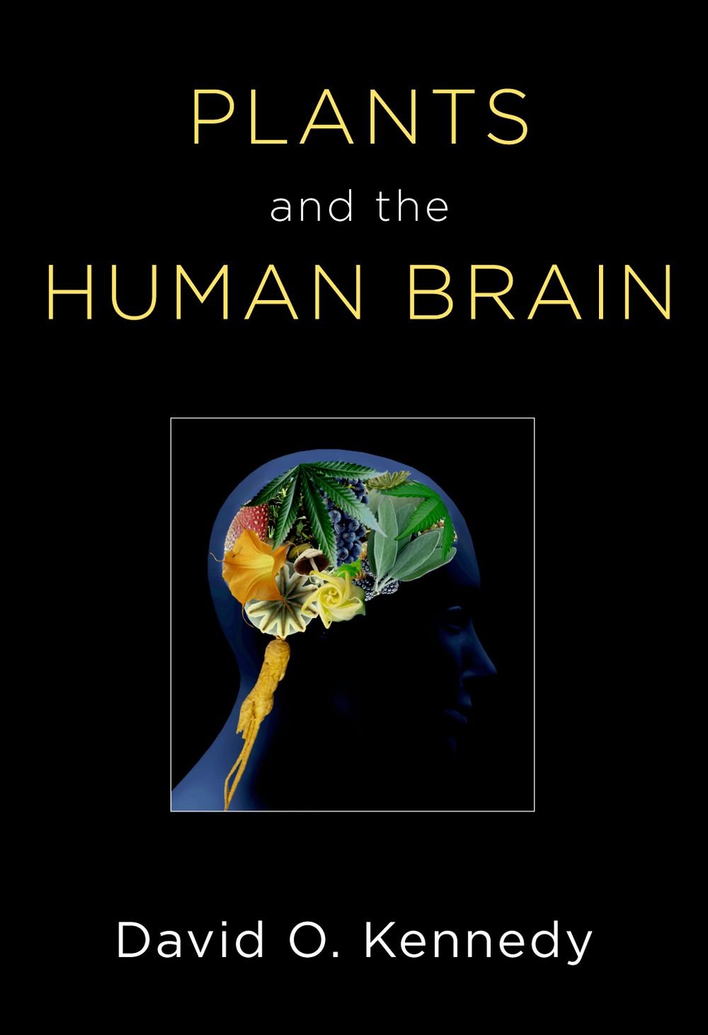 Plants and the Human Brain (PDF/EPUB Version)