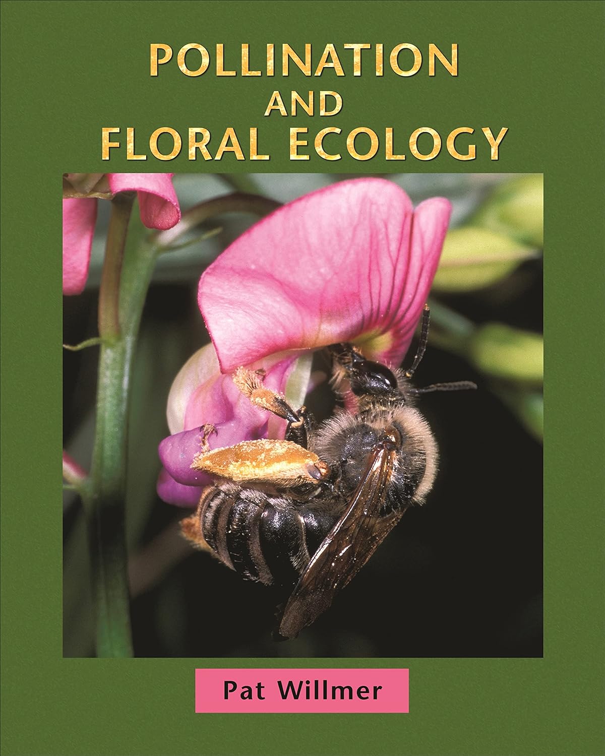 Pollination and Floral Ecology (PDF/EPUB Version)