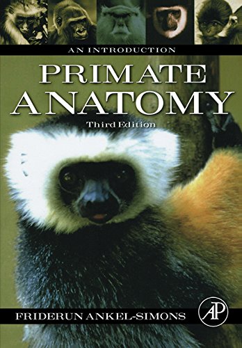 Primate Anatomy: An Introduction (PDF/EPUB Version)