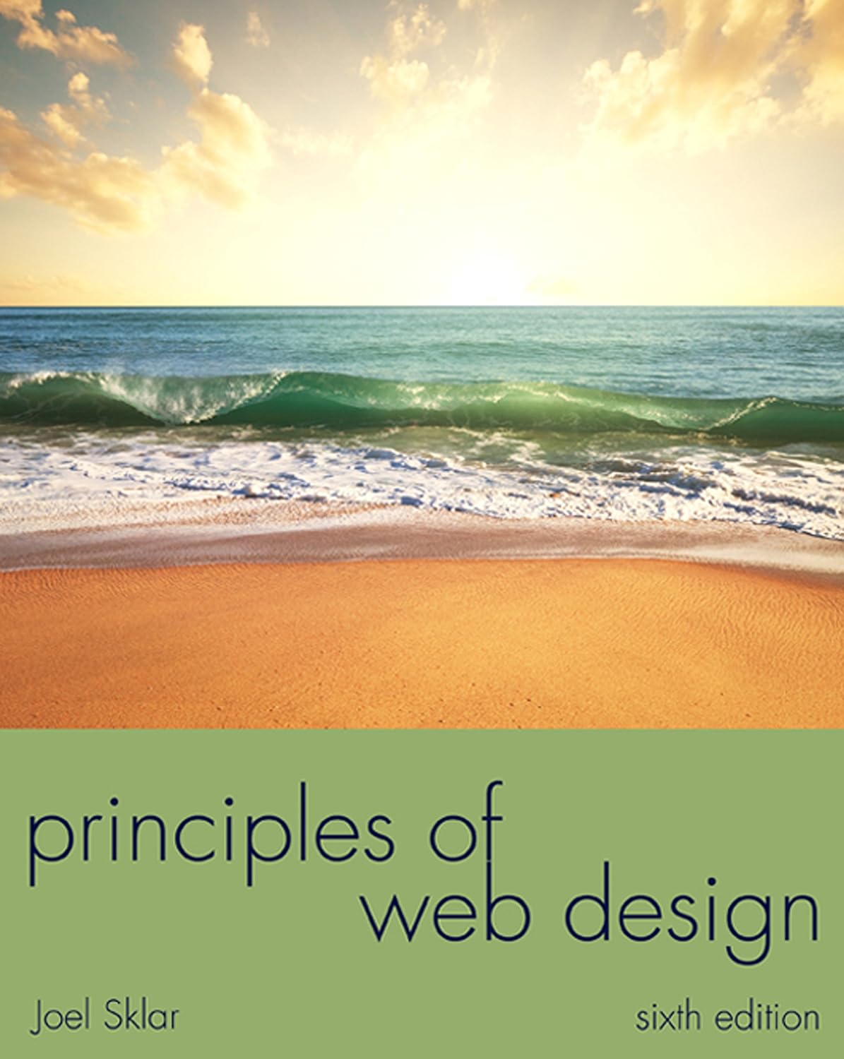 Principles of Web Design: The Web Warrior Series (The Web Technologies Series) (PDF/EPUB Version)