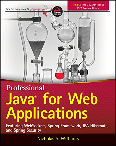 Professional Java for Web Applications (PDF/EPUB Version)