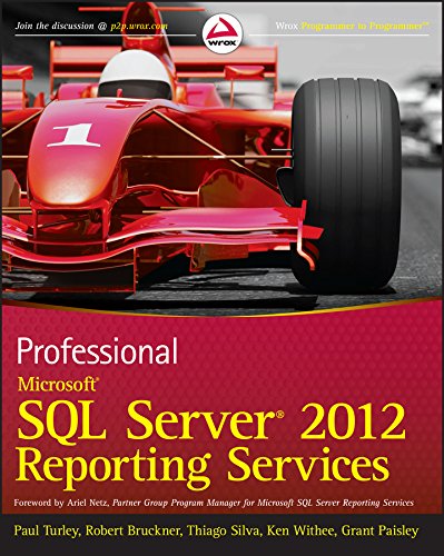 Professional Microsoft SQL Server 2012 Reporting Services (PDF/EPUB Version)