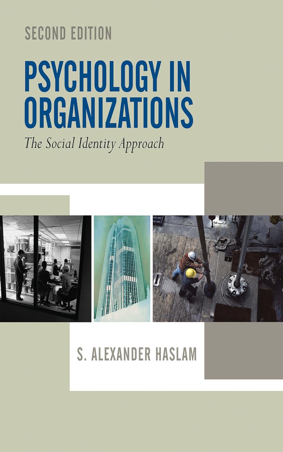 Psychology in Organizations (PDF/EPUB Version)