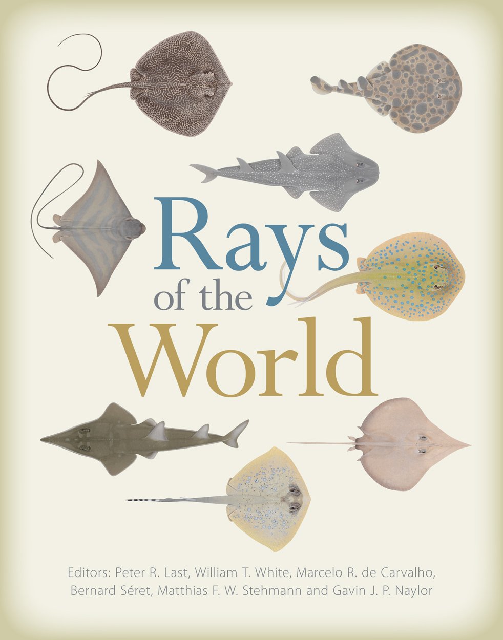 Rays of the World (PDF/EPUB Version)