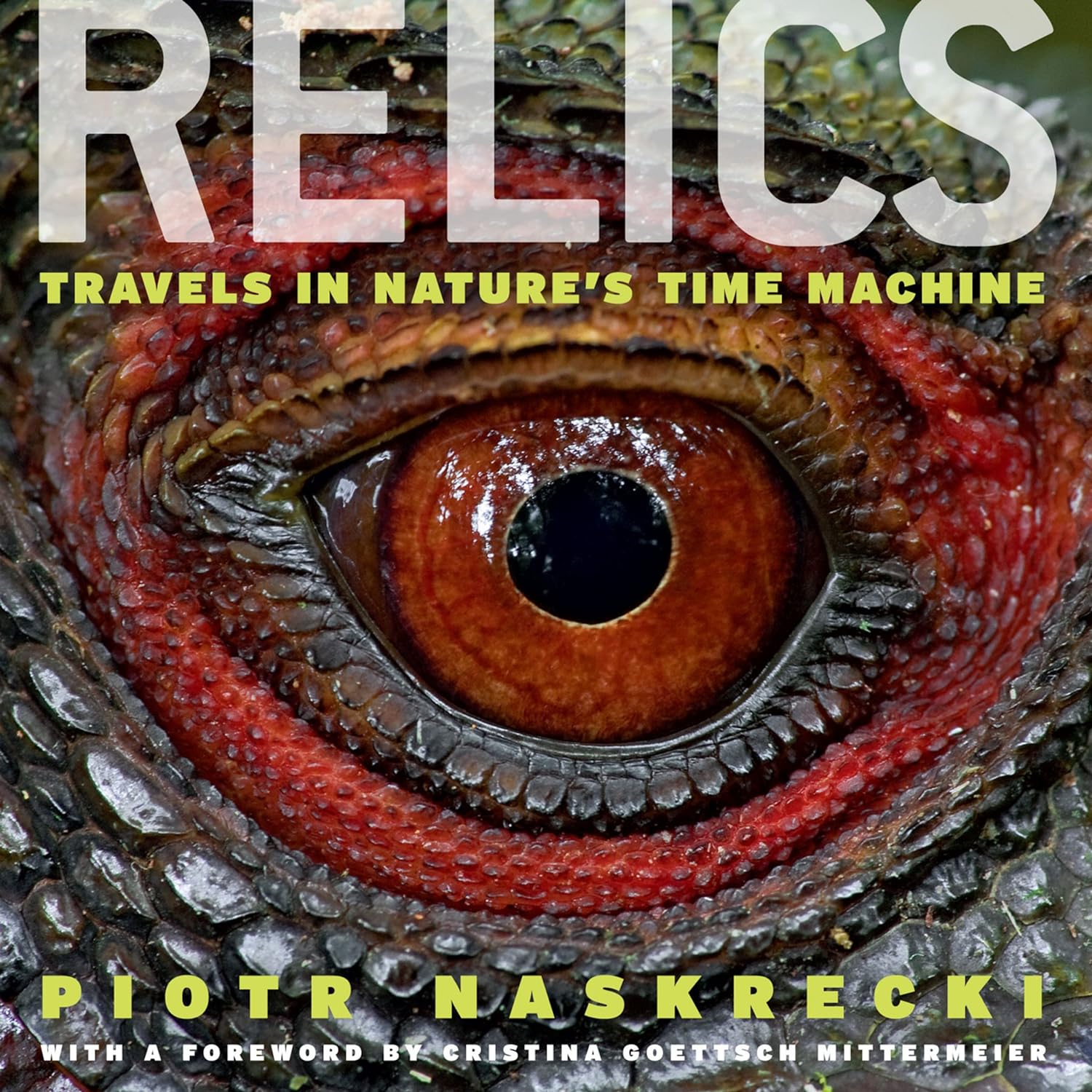 Relics: Travels in Nature's Time Machine (PDF/EPUB Version)