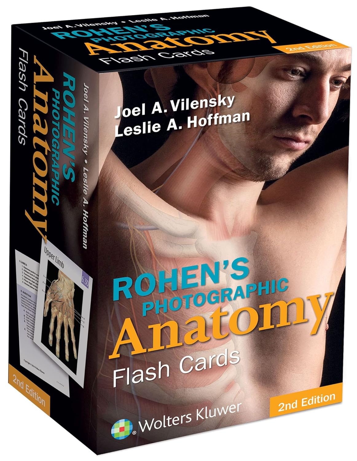 Rohen's Photographic Anatomy Flash Cards (PDF/EPUB Version)