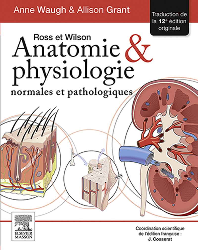 Ross et Wilson. Anatomie et physiologie normales et pathologiques: Rupt Stk 10/12/18 (Hors collection) (French Edition) (PDF/EPUB Version)