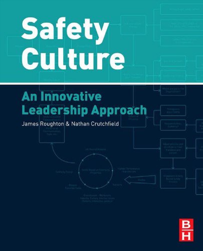 Safety Culture: An Innovative Leadership Approach (PDF/EPUB Version)