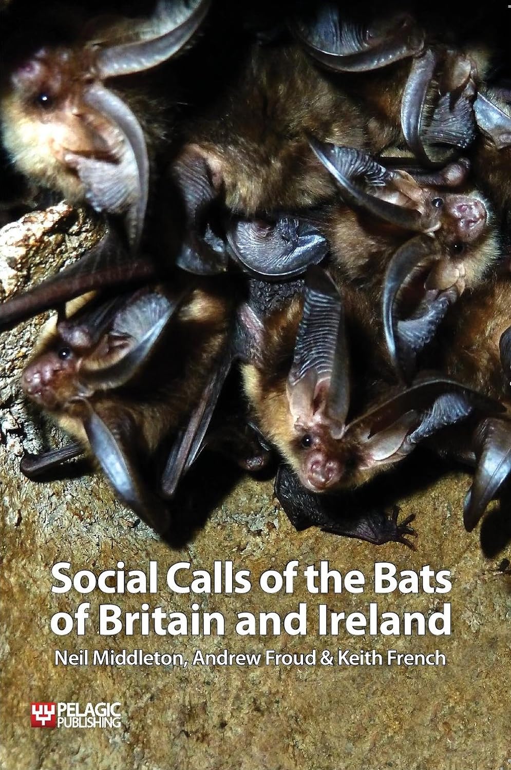 Social Calls of the Bats of Britain and Ireland (PDF/EPUB Version)