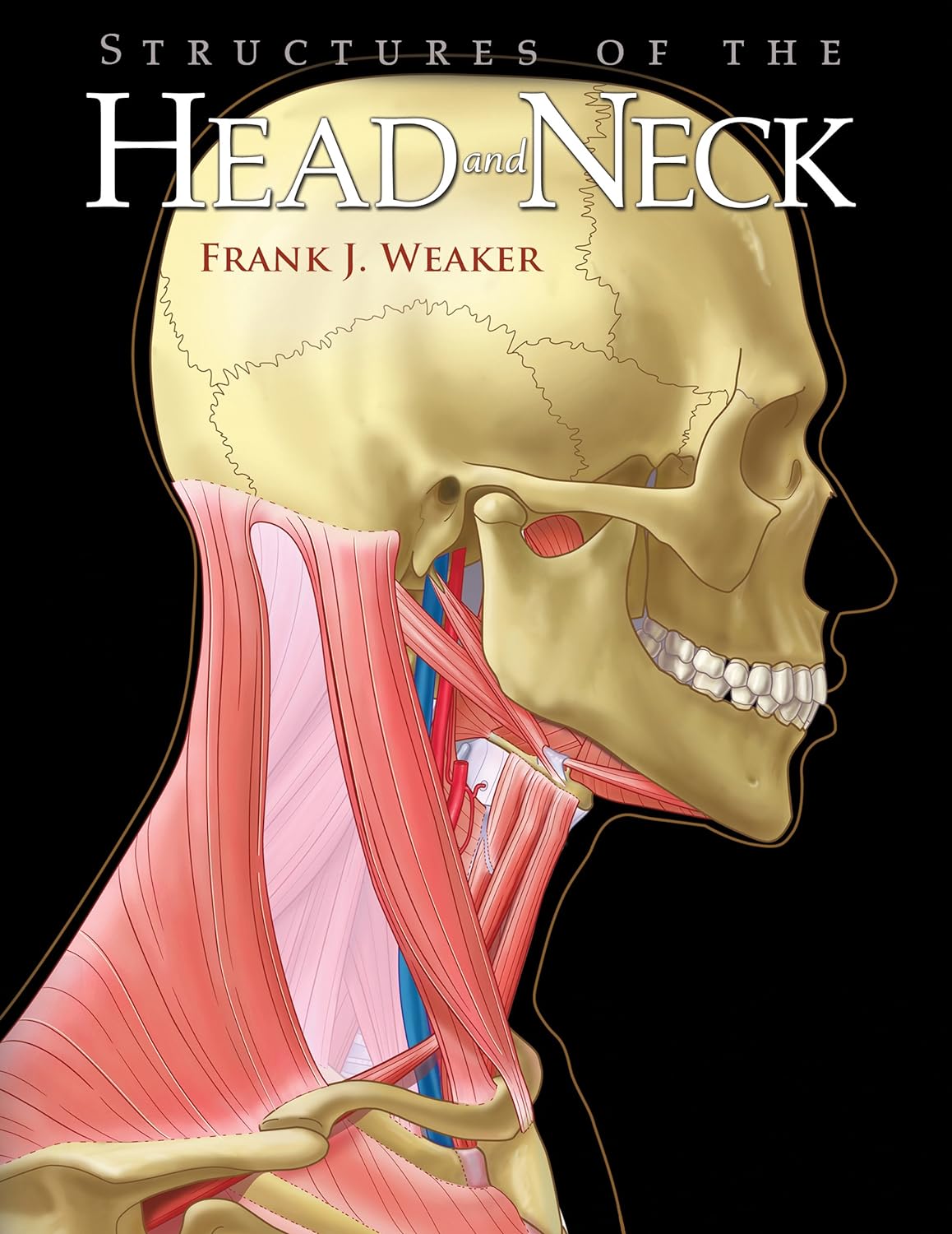 Structures of the Head and Neck (PDF/EPUB Version)
