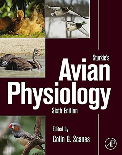 Sturkie's Avian Physiology (PDF/EPUB Version)