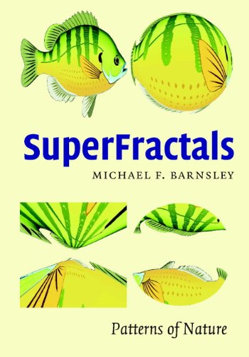 SuperFractals (PDF/EPUB Version)