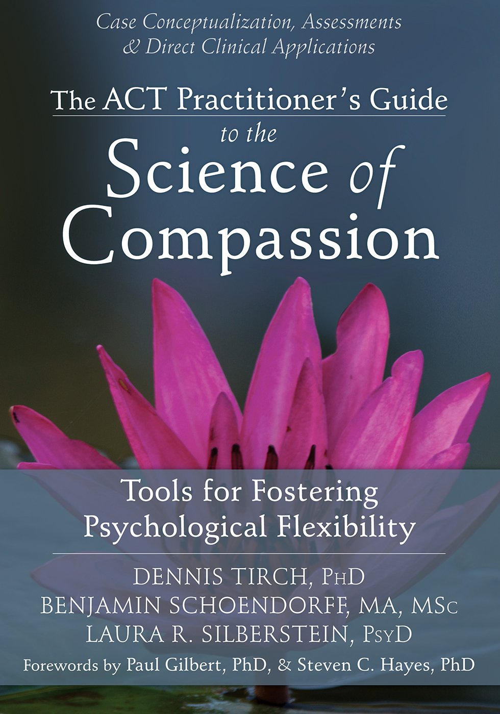 The ACT Practitioner's Guide to the Science of Compassion: Tools for Fostering Psychological Flexibility (PDF/EPUB Version)