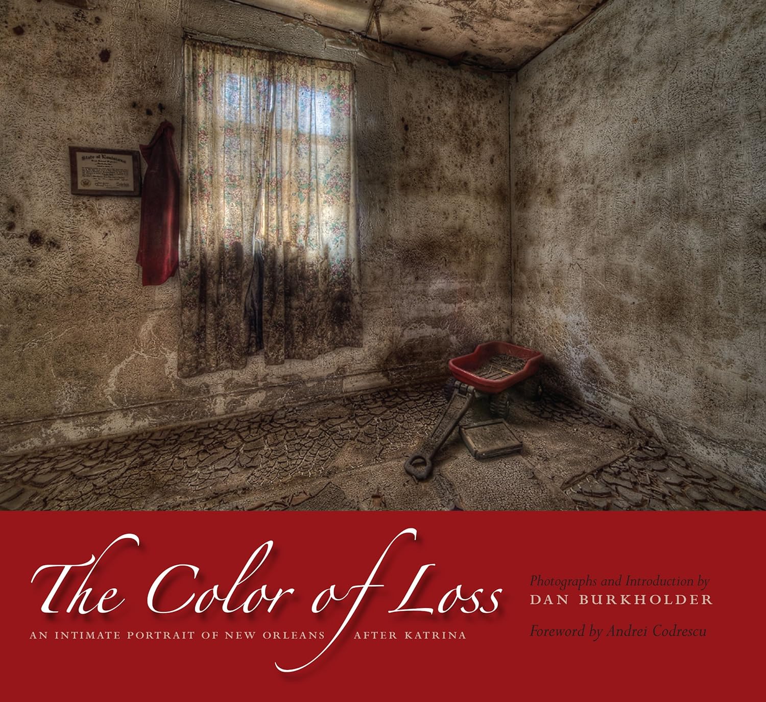 The Color of Loss: An Intimate Portrait of New Orleans after Katrina (PDF/EPUB Version)