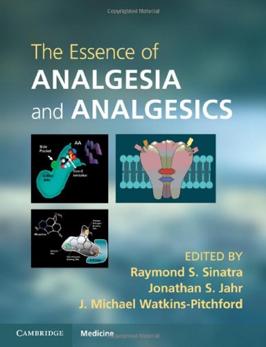 The Essence of Analgesia and Analgesics (Cambridge Medicine (Paperback)) (PDF/EPUB Version)