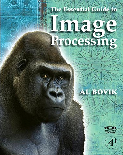 The Essential Guide to Image Processing (PDF/EPUB Version)