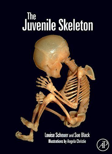 The Juvenile Skeleton (PDF/EPUB Version)