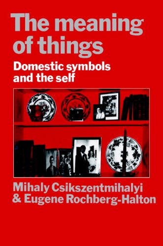The Meaning of Things: Domestic Symbols and the Self (PDF/EPUB Version)