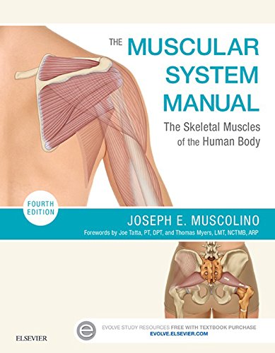 The Muscular System Manual: The Skeletal Muscles of the Human Body (PDF/EPUB Version)