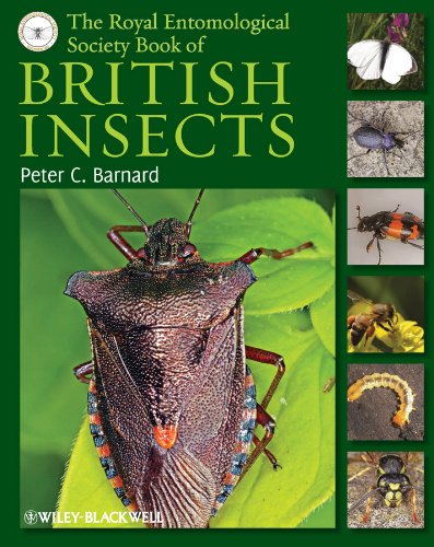 The Royal Entomological Society Book of British Insects (PDF/EPUB Version)
