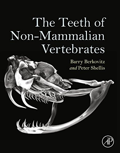 The Teeth of Non-Mammalian Vertebrates (PDF/EPUB Version)