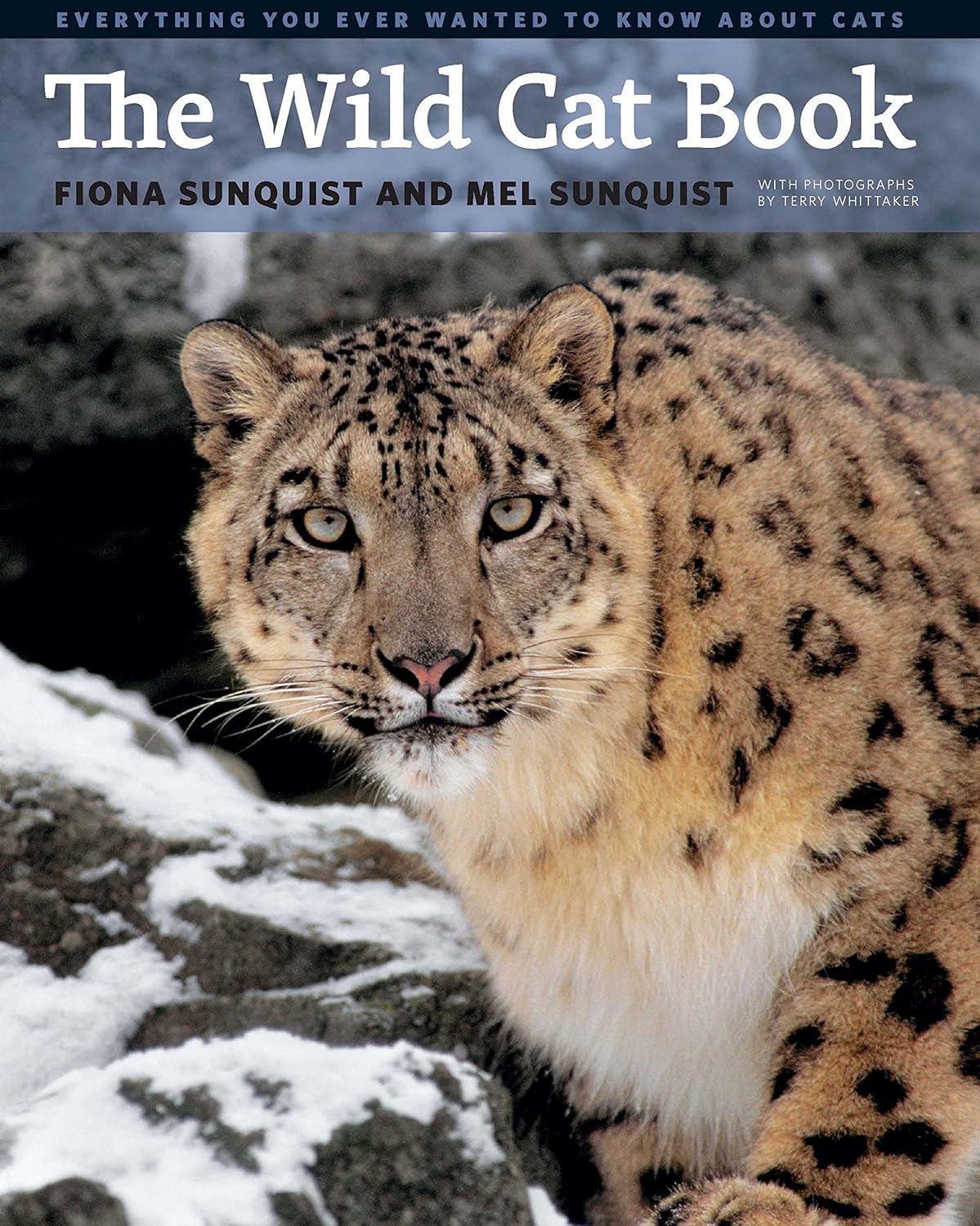 The Wild Cat Book: Everything You Ever Wanted to Know about Cats (PDF/EPUB Version)
