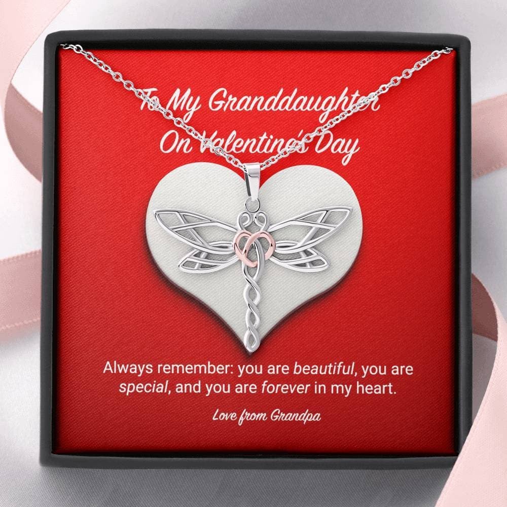 To My Granddaughter from Grandpa Valentine’s Day Dragonfly Necklace
